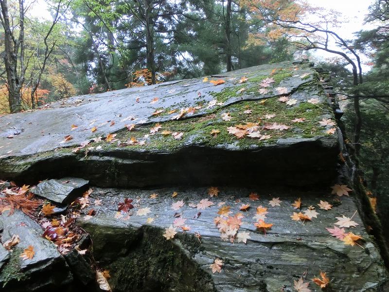 徳島　天岩戸神社 不思議な体験 オーブ_b0124306_15495233.jpg