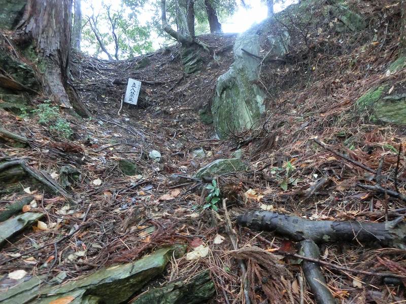 徳島　天岩戸神社 不思議な体験 オーブ_b0124306_16093187.jpg