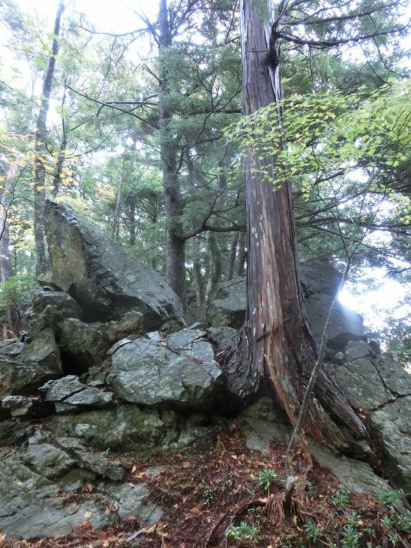 徳島　天岩戸神社 不思議な体験 オーブ_b0124306_16214453.jpg