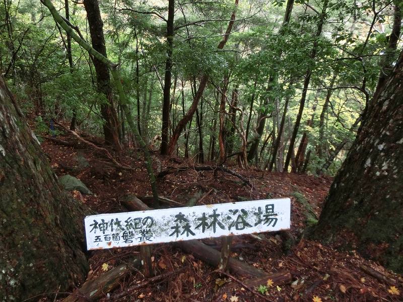徳島　天岩戸神社 不思議な体験 オーブ_b0124306_16265953.jpg
