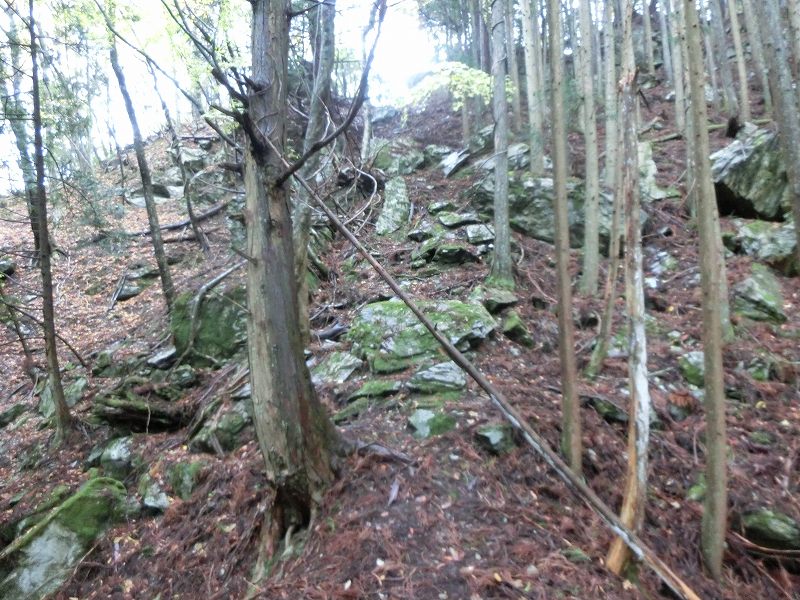 徳島　天岩戸神社 不思議な体験 オーブ_b0124306_16325499.jpg