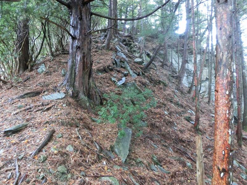 徳島　天岩戸神社 不思議な体験 オーブ_b0124306_16504148.jpg