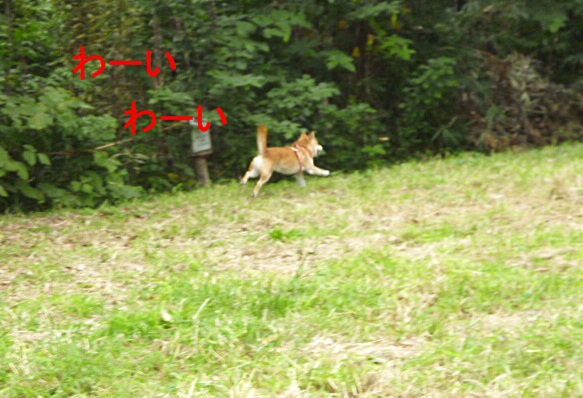 e0131506_16405374.jpg