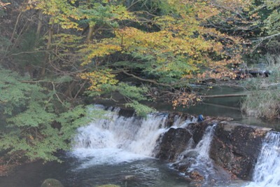 c0041207_1633519.jpg