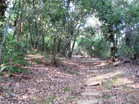 a0164011_22224767.jpg