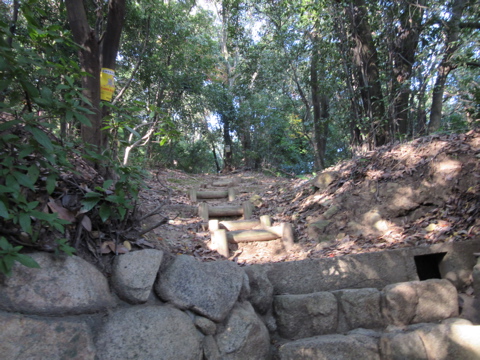 a0164011_22234524.jpg