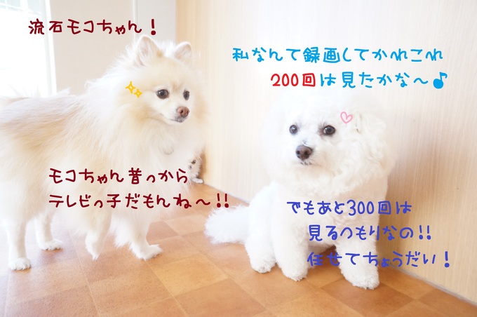 d0220513_1559145.jpg