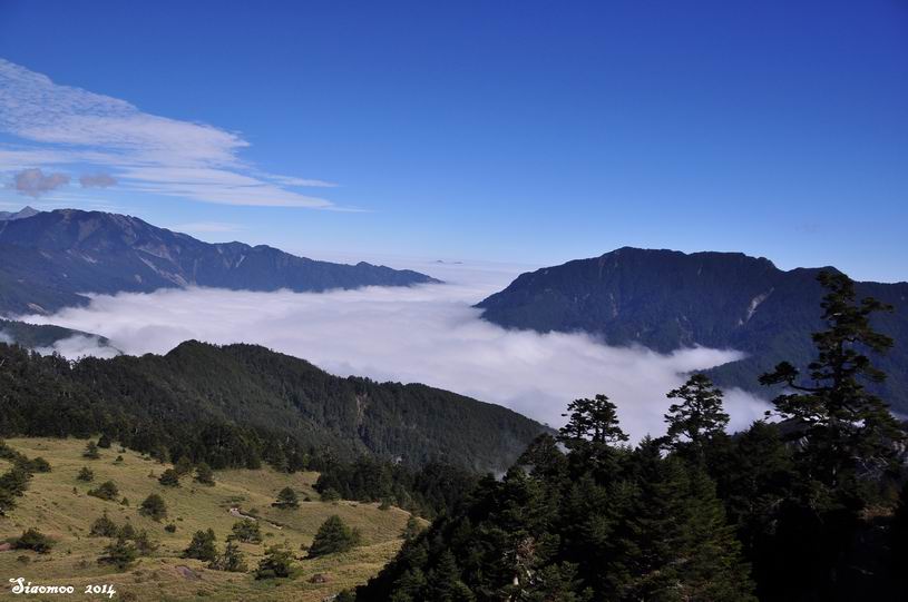 合歡山～ 4-1 ～松雪樓日出_e0024817_126569.jpg