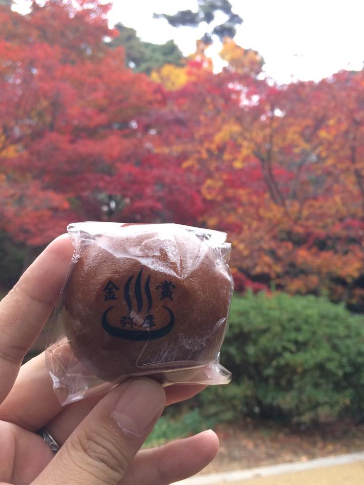 弥彦菊まつり〜もみじ谷_a0126418_15285325.jpg