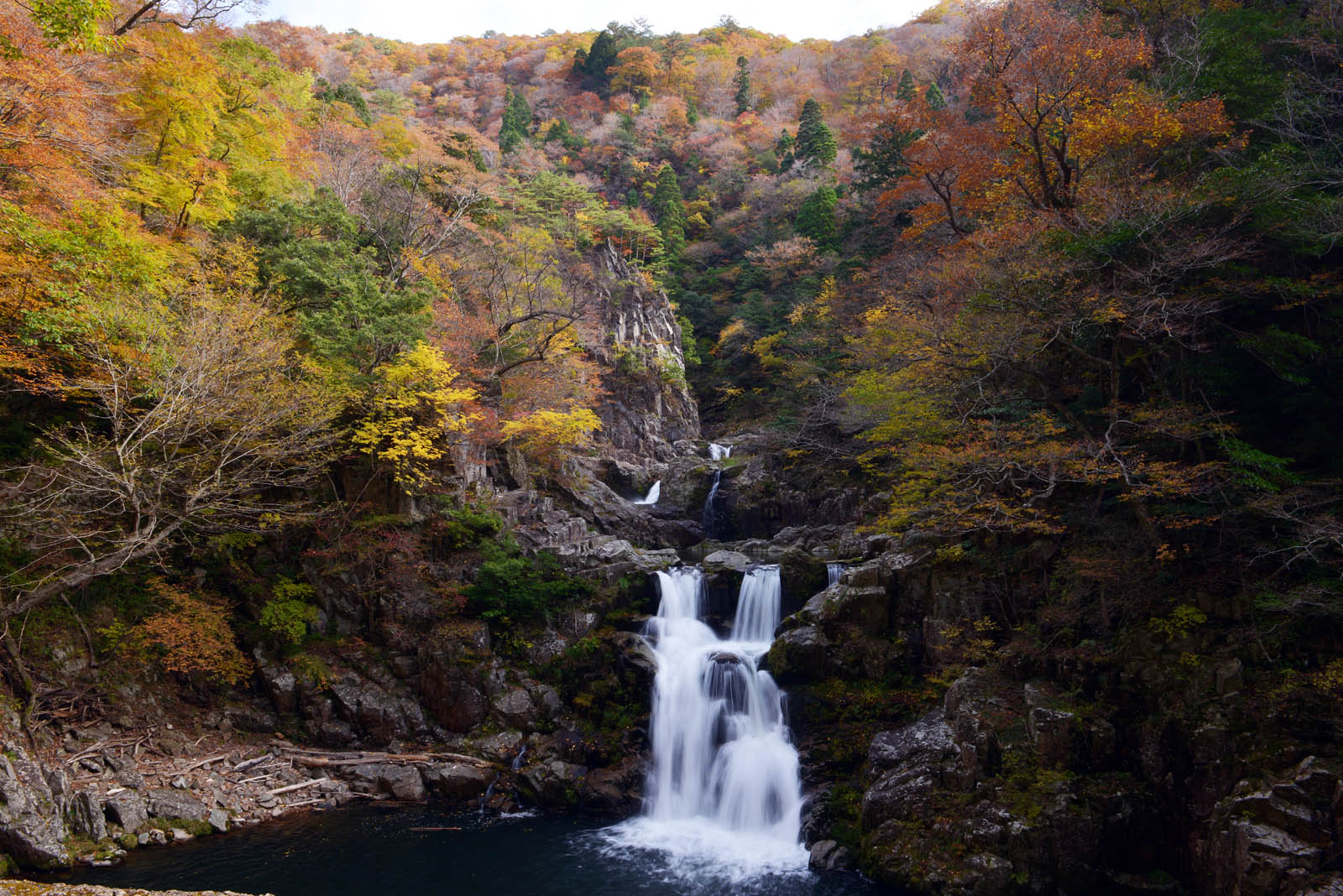 みんなの作品 4 ことまち別館 壁紙写真 みんなの作品 4 ことまち別館 壁紙写真