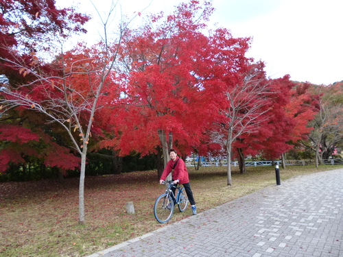PM河口湖ライド!_f0304030_23255258.jpg