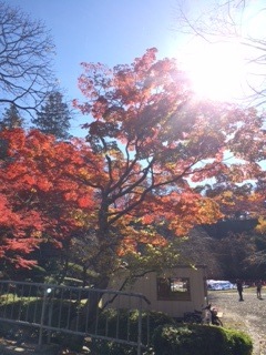 2014 ソロツアー11月、前半_b0181435_6393516.jpg