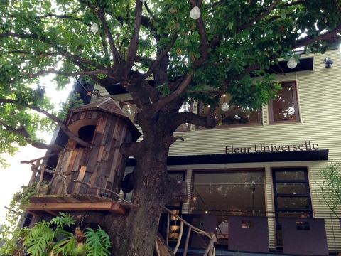 11月9日 広尾散歩_a0317236_822121.jpg