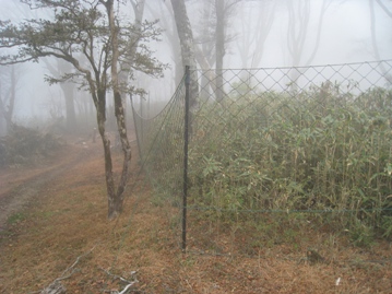 なんとか雨は降らずに　　白髪岳（１４１６ｍ）_c0077338_22395492.jpg