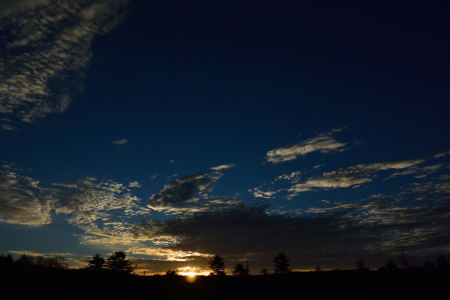 c0314839_18184590.jpg