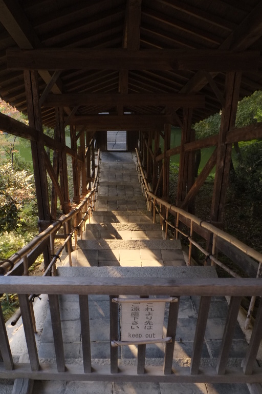 親とゆく京都　高台寺_e0181939_1454218.jpg