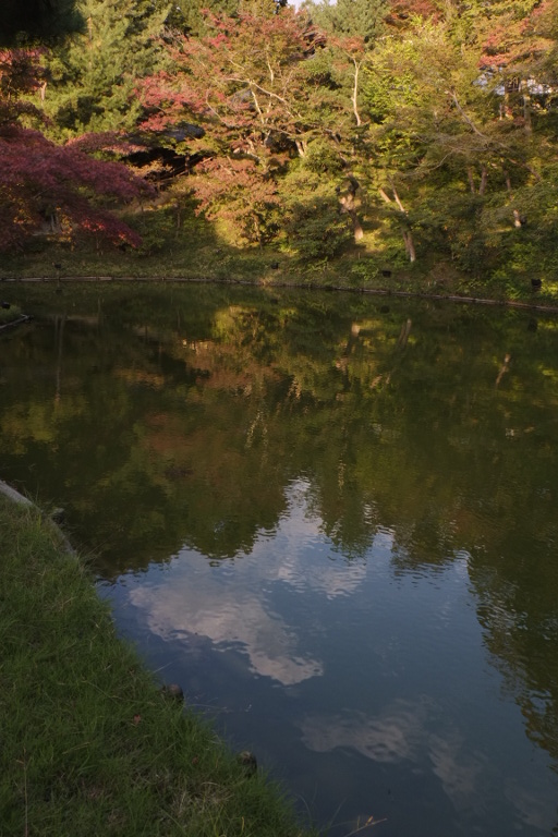 親とゆく京都　高台寺_e0181939_1454410.jpg