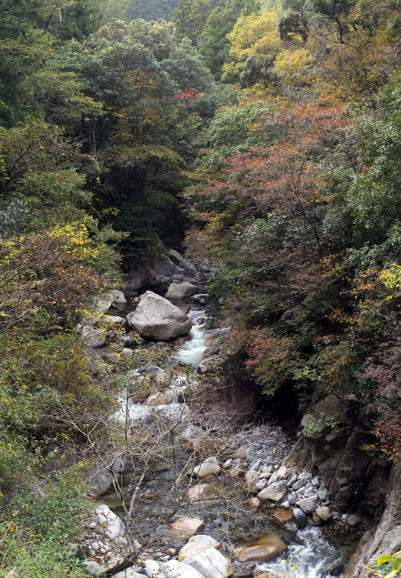 a0166150_114033.jpg