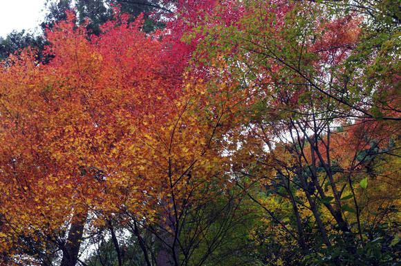 a0166150_11414240.jpg