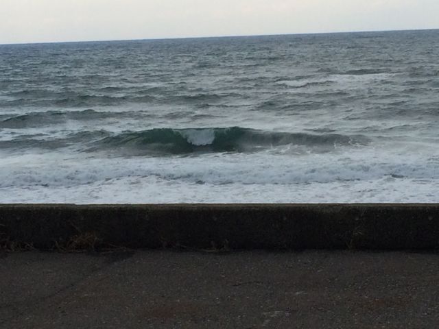 c0254151_2255449.jpg