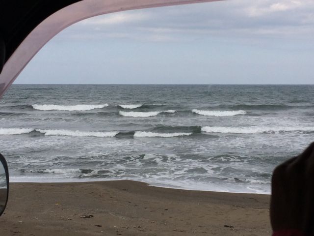 c0254151_226068.jpg