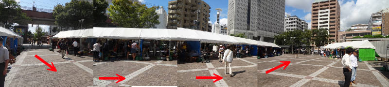 e0033751_14344425.jpg