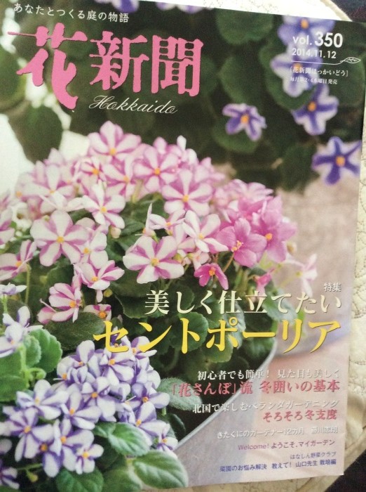 花新聞_a0083752_9491229.jpg