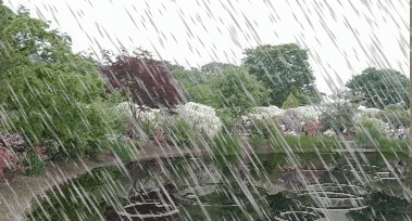 b0133752_17543934.gif