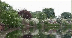 b0133752_17551227.gif