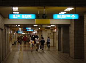 a0057057_20453811.png
