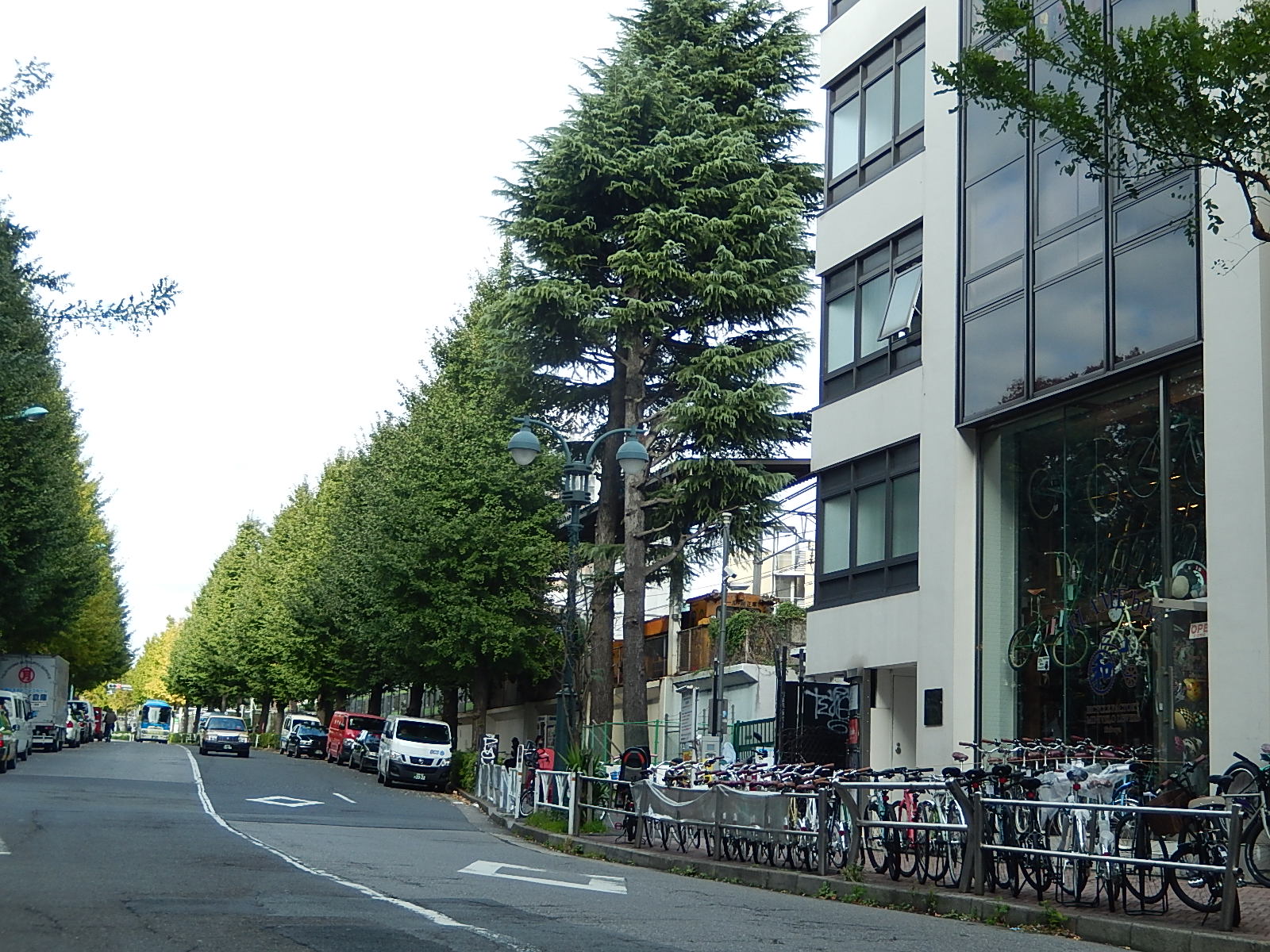 11月10日 渋谷 原宿 の自転車屋 FLAME bike前です_e0188759_1546772.jpg