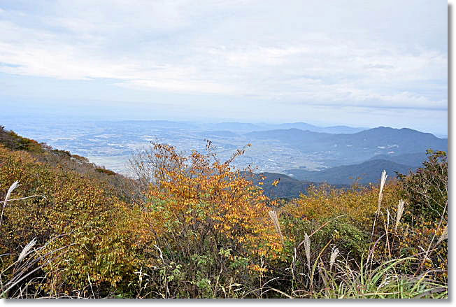 2014年筑波山・・・古木のブナと紫峰杉と男女川源流_b0053765_22230370.jpg