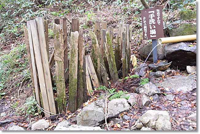2014年筑波山・・・古木のブナと紫峰杉と男女川源流_b0053765_22472247.jpg