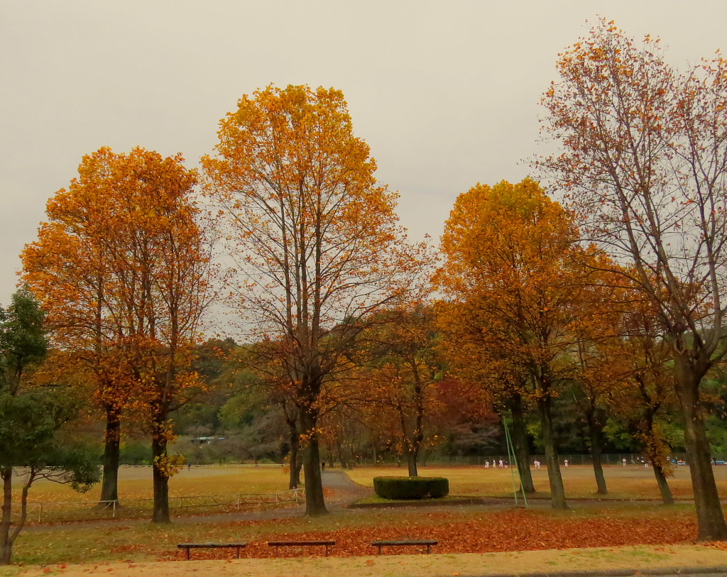 c0305565_17485930.jpg