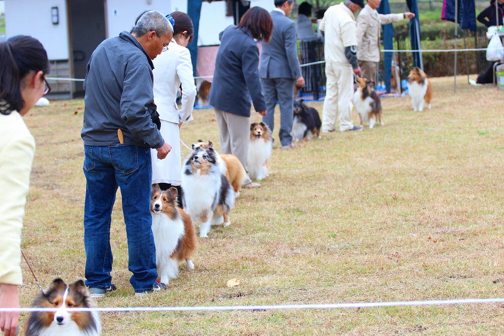 栃木展_f0126965_1847619.jpg