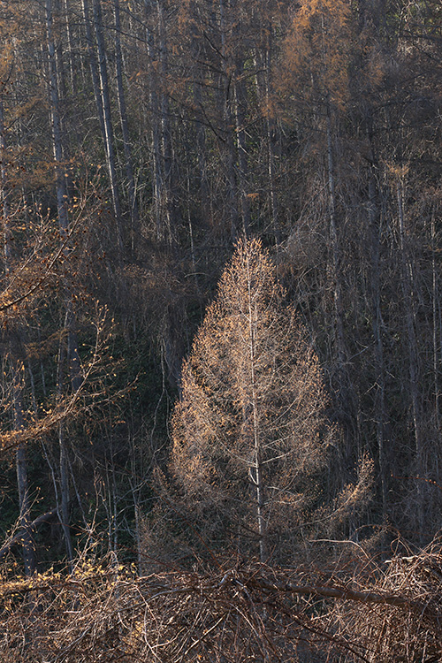 f0054366_22002714.jpg