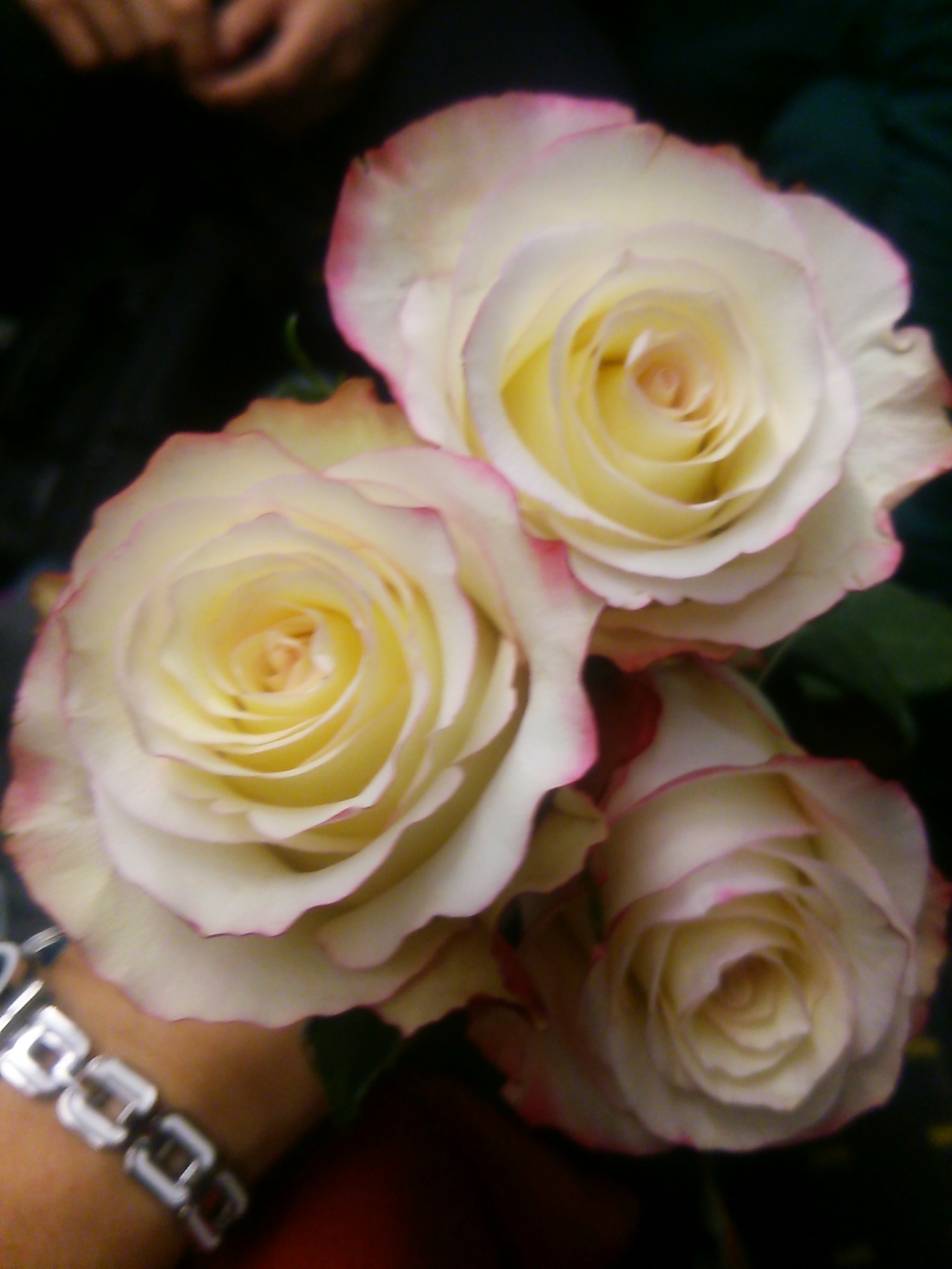 d0244370_15470177.jpg