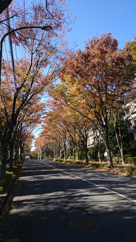 c0345972_18142064.jpg