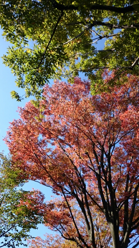 c0345972_1815426.jpg