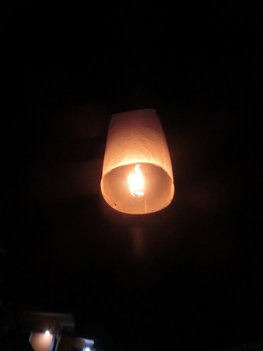 a0199979_1861747.jpg