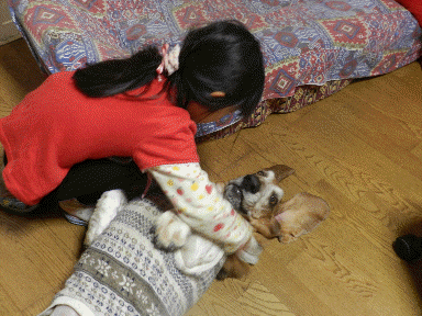 f0205887_194626.gif