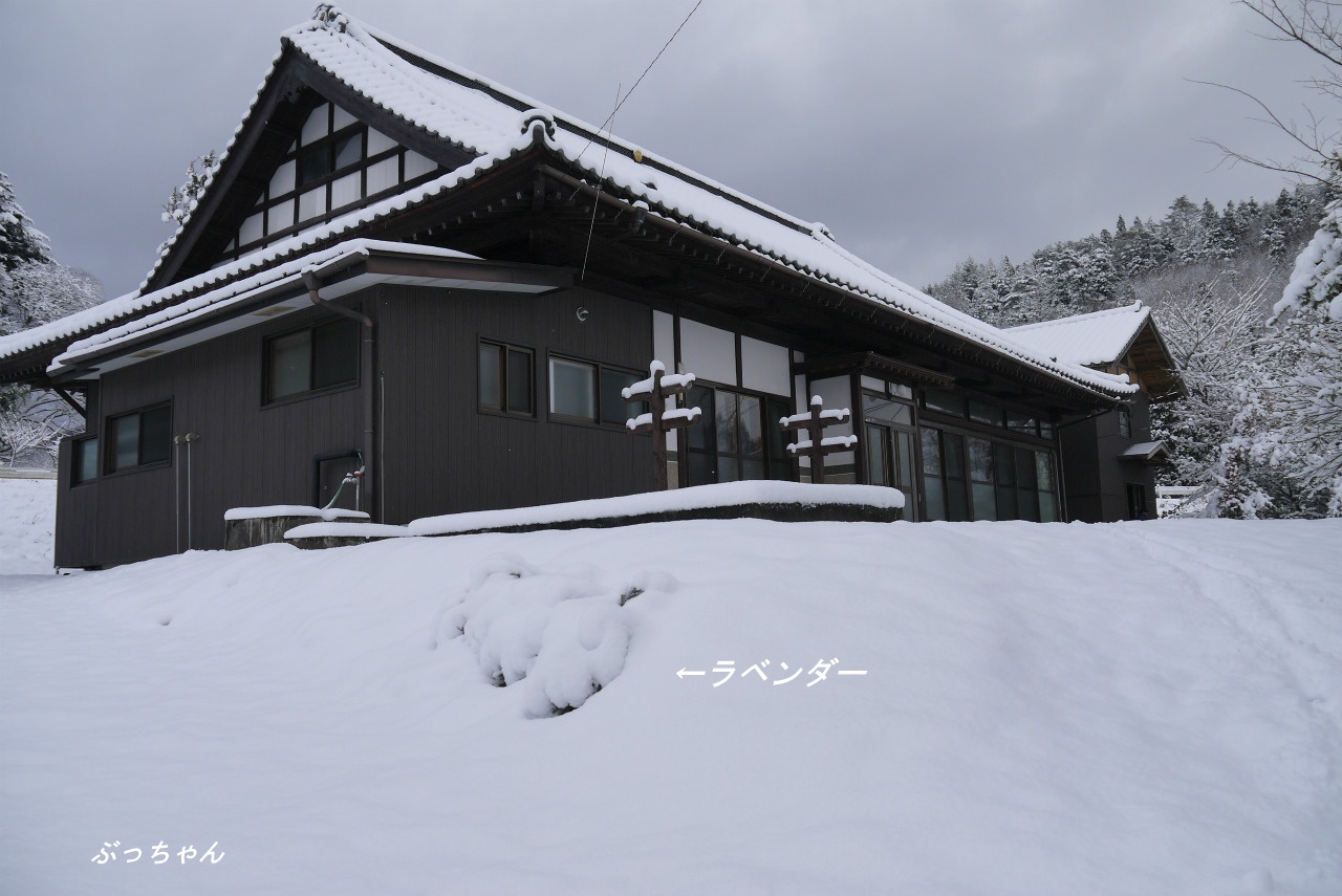 f0353990_11021791.jpg