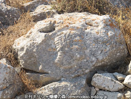 c0010496_16405087.jpg