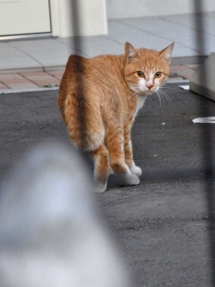 満月に吠えろ! (≧∇≦)_c0049299_2341015.jpg