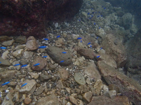 e0115199_20283043.jpg