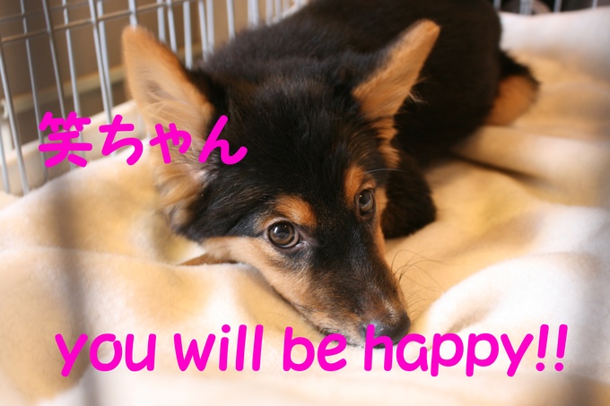 笑ちゃん 新生活スタート!_f0242002_110139.jpg