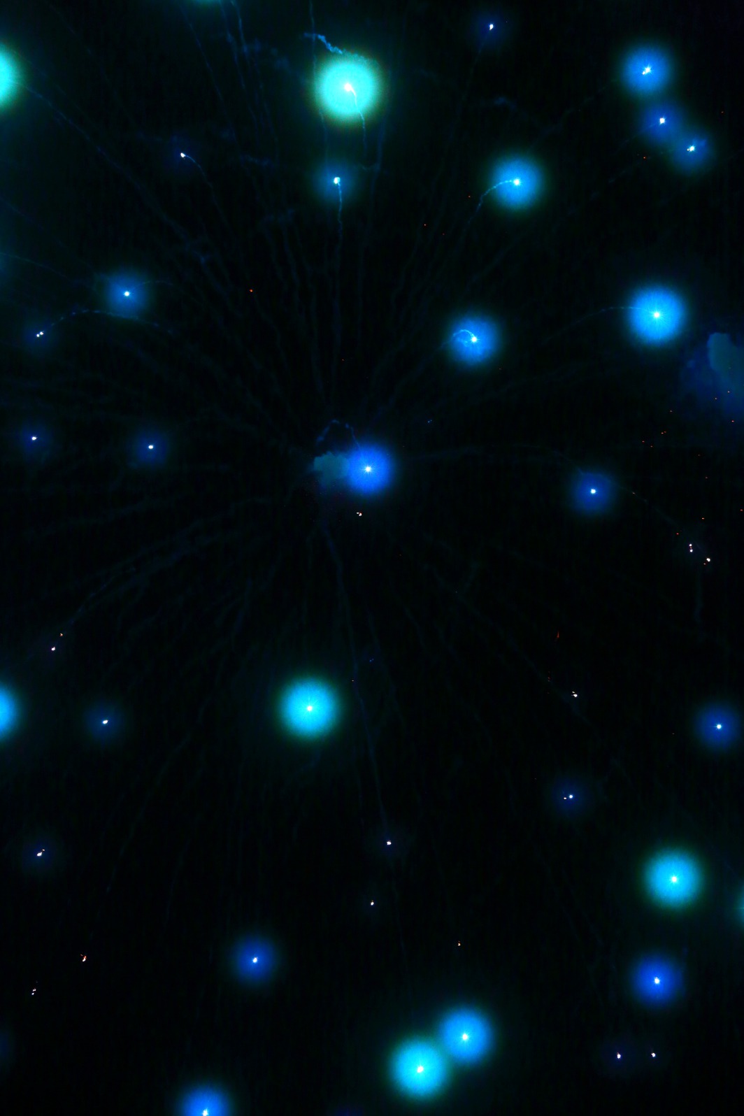 a0155104_2110568.jpg
