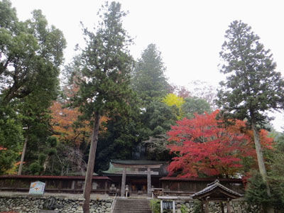 奈良の風景_b0129807_2130186.jpg