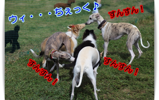 e0100007_21501819.jpg