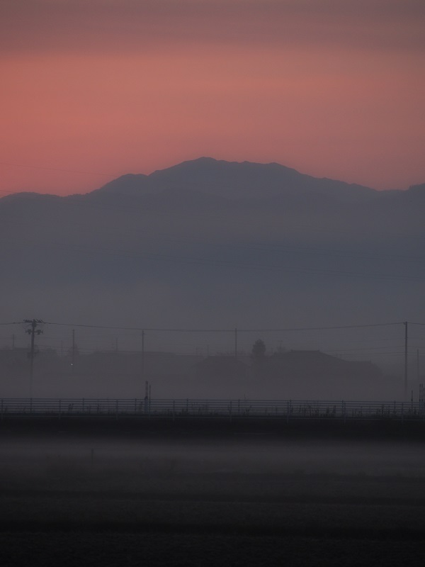d0001008_19251136.jpg